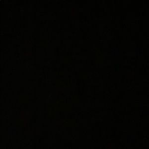 Meet your Posher, Otis